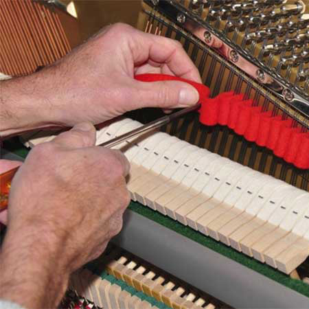 Nhà Cung Cấp Dịch Vụ Bảo Dưỡng Đàn Piano Chuyên Nghiệp