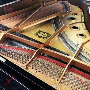 Đàn Grand Piano Yamaha C3LA