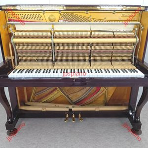 Đàn Piano Cơ Nhật Rubinstein Serial 249053