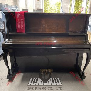 Đàn Piano Cơ Pruthuer P50