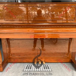 Đàn Piano Cơ Weinburg