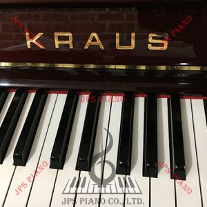 Đàn Piano Cơ Kraus Special