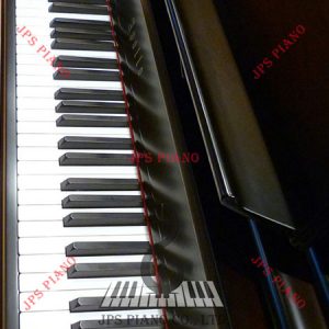 Đàn Piano Cơ Apollo W700TS