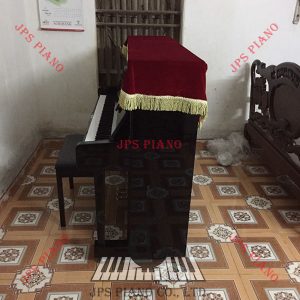 Đàn Piano Cơ Nobel