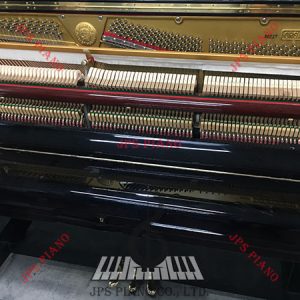 Đàn Piano Cơ Orgast Holster