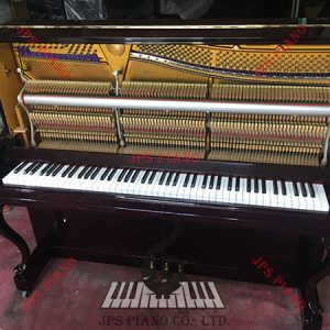 Đàn Piano Cơ Rosenkonig 200RD