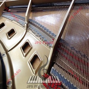 Đàn Grand Piano Boston 163ES