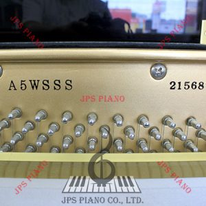 Đàn Piano Cơ Apollo A5WSSS
