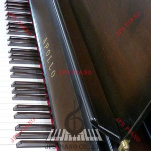 Đàn Piano Cơ Apollo RU388W