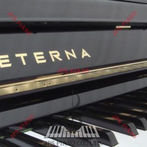 Đàn Piano Cơ Eterna 1