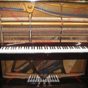 Đàn Piano Cơ Gershwin G800