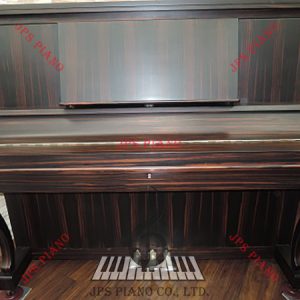 Đàn Piano Cơ Gershwin GA-8000