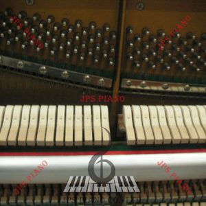 Đàn Piano Cơ Gold Star 120-G