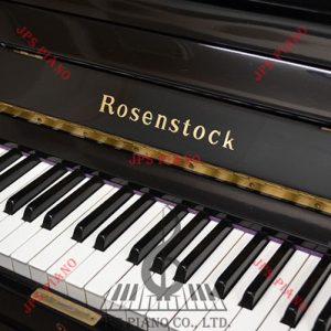 Đàn Piano Cơ Rosenstock RS-202E