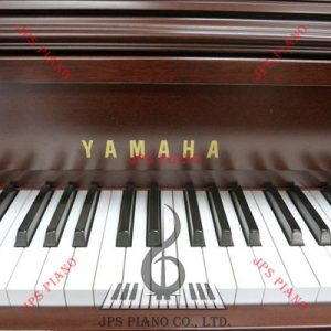 Đàn Piano Cơ Yamaha M2SDW