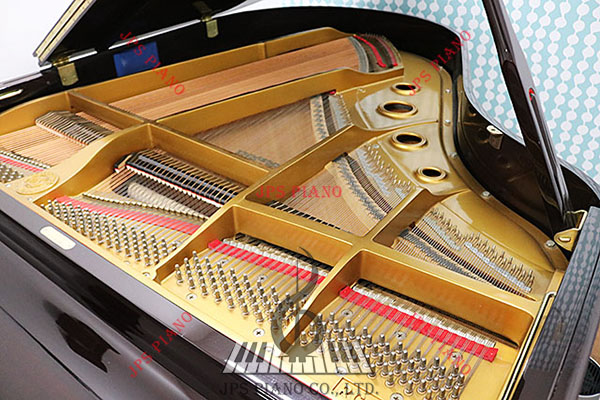 Đàn Grand Piano Rosenstock RG-175