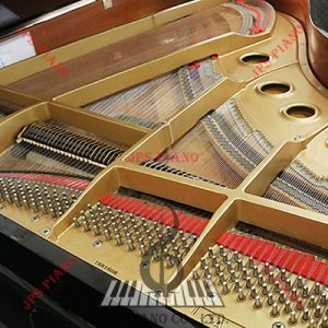 Đàn Grand Kawai CA-40