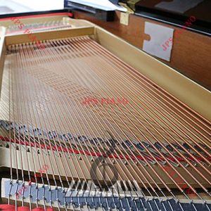 Đàn Grand Piano Diapason D-171BG