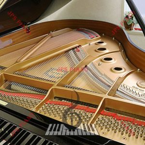 Đàn Grand Piano Yamaha C1