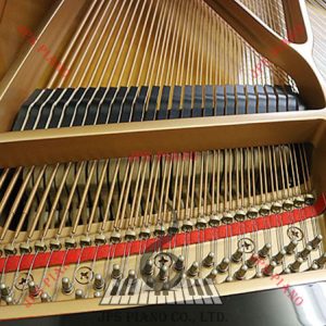 Đàn Grand Piano Yamaha C1