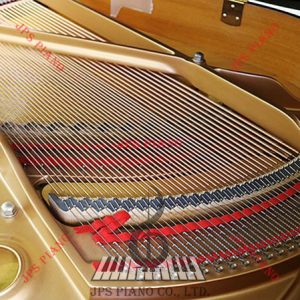 Đàn Grand Piano Yamaha C1