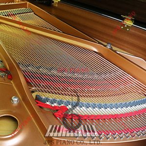 Đàn Grand Piano Yamaha C1TD