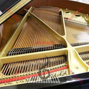 Đàn Grand Piano Yamaha G1E