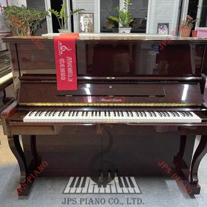 Đàn Piano Cơ Rosenstein V-R2